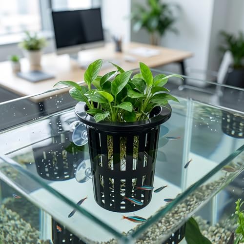 2Pcs Aquarium Plant Holder, Fish Tank Plant Holder for Hydroponic Growing, Plant Holder for Aquarium with Wall Mount Design, for Fish Tank Aquaponic Plant Cultivation and Aquascape Accessories