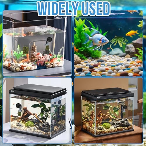 Magnetic Seaweed Feeder Clip, Saltwater Fish Aquarium Accessories Supplies Algae Magnet Seaweed Feeder Magnetic Clips,Goldfish Fish Tank Feeding Ring Suitable for Aquatic Pets - color: 1Pcs
