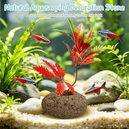 Hamiledyi Volcanic Rock Aquarium Plant Fixed Rings Natural Stone Plant Weights for Fish Tank Aquatic Plant Anchors Aquarium Decorations Landscape Stones (Aperture: 0.87",8Pcs)