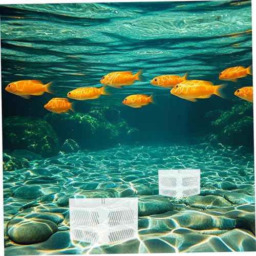 Hemoton Aquarium Divider Acrylic Grid Fish Tank Pump Guards Isolation Box for Easy Setup