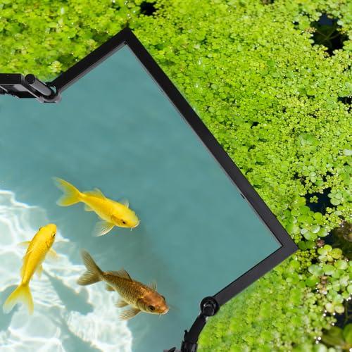 Aquarium Floating Plant Barrier, Intercepting Floating Plant Corral Fish Aquarium Accessories for Aquarium Feeding Ring, Aquarium Divider for Aquarium Holder Accessories for All Aquatic Plants