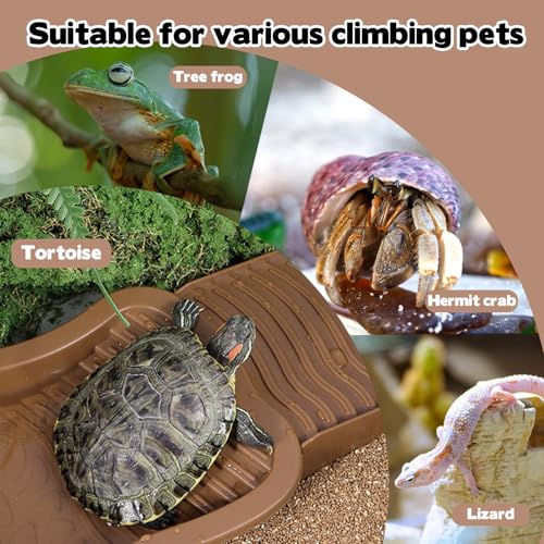 Large Reptile Bathing Pool, Tortoise Food Water Bowls with Ramp, Reptile Feeding Dish Water Bowl Bathing Pool Aquarium Ornament for Gecko, Snake, Turtle, Bearded Dragon, Lizard Bath