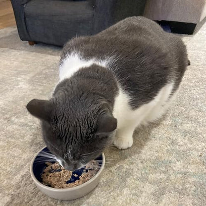 SPOT Ceramic Dish - Whisker-Friendly, Low-Edge Saucer for Cats, Birds, Reptiles, Ideal for Wet or Dry Food, Dishwasher Safe, 5.25-inch Diameter, Capacity: 2 Cups (16 Oz)