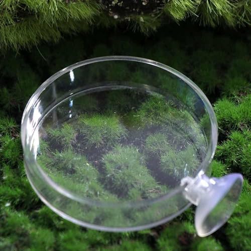 Shrimp Food Box, Round/Square Practical Fish Feeding Bowl, Acrylic Transparent Aquarium Accessories Fish Feeding Dish Shrimp Food Feeding Circle(A) - style: A