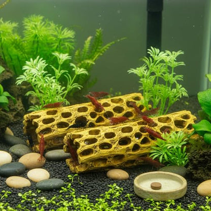 Natural Cholla Wood for Aquarium - 6 Inch Hollow Log Shrimp Hideout, Hermit Crab Climbing Toy, Realistic Driftwood Decor for Fish Tank, Reptile Terrarium Branch Ornament (2 Pack)