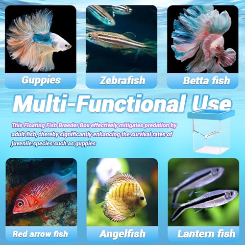 Breeder Box for Fish Tank,Isolation Breeding Box with Layered Design,Floating Fish Breeder Box for Aquarium,Adsorption and Suspension,Blue