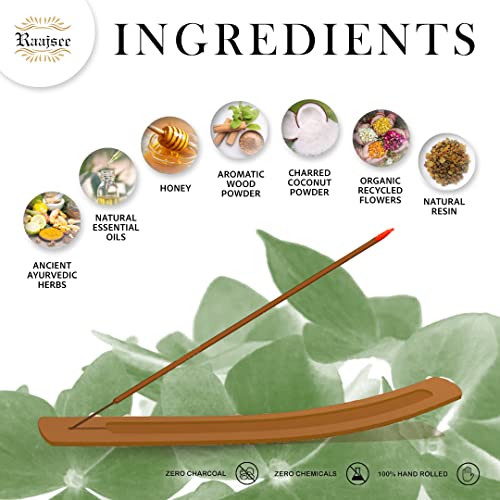 Raajsee Incense Sticks Eucalyptus 100 gm Pack-100% Pure Organic Natural Hand Rolled Free from Chemicals-Perfect for Church, Aromatherapy,Relaxation,Meditation,Positivity & Sensual Therapy - color: Eucalyptus