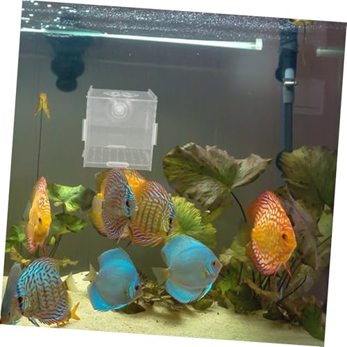 VICASKY Acrylic Fish Breeding Box Isolation Tank for Small Fish and Shrimp Aquarium Hatchery Incubator Cups Compact and Versatile Divider for Optimal Breeding Environment