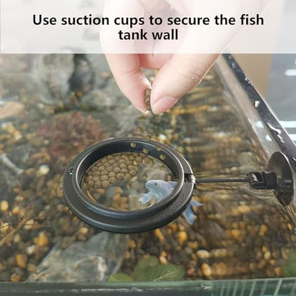 FREESEA Fish Feeding Ring for Aquarium: Round Floating Food Rings for Betta Turtle Tank - size: Round