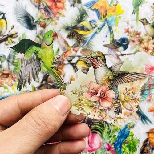 180 Pcs Transparent Flower Bird Stickers – Watercolor Floral Scrapbooking Supplies with Hummingbirds, Flamingos, Parrots – Clear Nature Stickers for Journals & Resin Art Crafts - color: Wildlife Bird