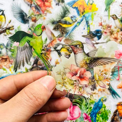 180 Pcs Transparent Flower Bird Stickers – Watercolor Floral Scrapbooking Supplies with Hummingbirds, Flamingos, Parrots – Clear Nature Stickers for Journals & Resin Art Crafts - color: Wildlife Bird