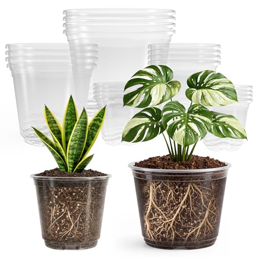 Bluepro Clear Nursery Pots with Drainage, 3.5/4/5/6/8 Inch, 20-Pack | Clear PET, 4 Each of Five Sizes, Root and Moisture Visibility, Flexible, Reusable, Seed Starting Through Repotting - size: 3.5/4/5/6/8 Inch-20Pcs