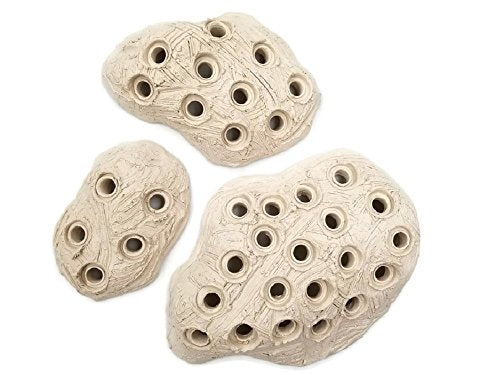 Oceans Wonders Frag Station Hub 10.0 Coral Reef Plug Holder with 10 Plugs