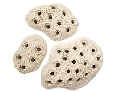 Oceans Wonders Frag Station Hub 10.0 Coral Reef Plug Holder with 10 Plugs