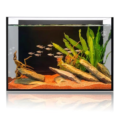 6 Gallon Glass Fish Tank 5 Gallon, Small Aquarium Fish Bowl Cube for Betta Goldfish Snails Shrimp Aquatic Planting, Easy to Maintain Ultra Clear Rimless Design Low Iron - color: Dark Background, size: 5 Gallon