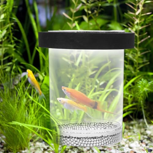 Ipetboom Floating Fish Breeding Box for Aquarium Tank - Plastic Hatching Box with Mesh Net for Baby, 5.9 X 3.9 X 3.9 in