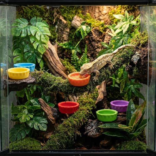 7 Pack Crested Gecko Food Dish and Water Bowl Small Reptile Feeding Cups | Reusable Hermit Crab Food Dish Feeder &corner Foods Dishs Gecko Water Bowl for Bearded Dragon Tank Tortoise Isopods Crab