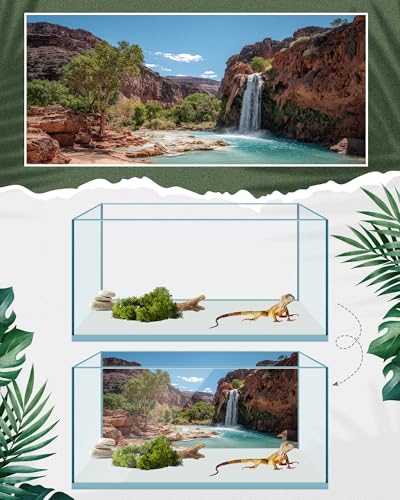 Breling 4 Pcs 48 x 18'' Reptile Tank Background 40/55/75 Gallon Bearded Dragon Terrarium Background Decor Polyester Reptile Tank Accessories for Leopard Gecko, Crested Gecko, Tortoises - size: 48 x 18 Inch