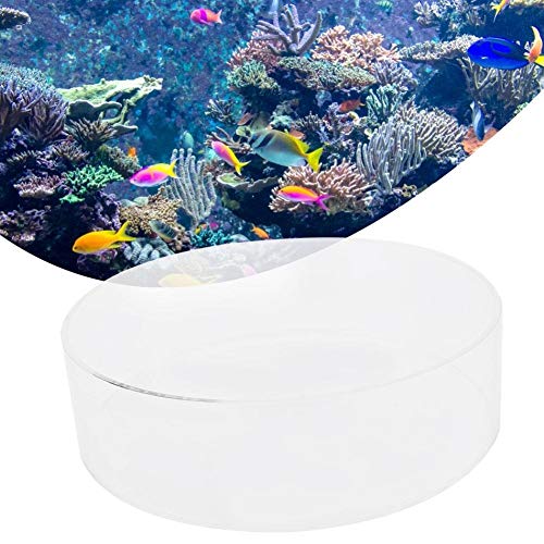 SaditY Coral Viewer Fish Tank Acrylic,Fish Tank Acrylic Coral Observe Lense Aquarium Fish Photograph Cylinder Magnifier Coral Observe Lense (200mm), style