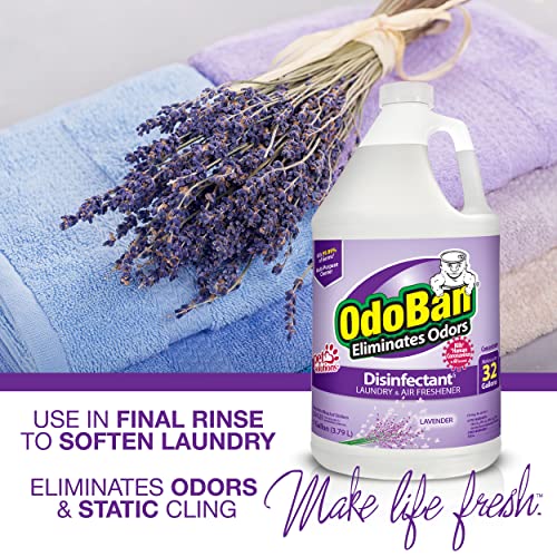 OdoBan Ready-to-Use Disinfectant and Harsh Aroma Eliminator, Set of 2, 14.6 Ounce 360-Degree Continuous Spray Fabric/Air Freshener and 1 Gallon Multi-Purpose Cleaning Concentrate, Lavender Scent - size: 71.3 Fl Oz (Pack of 2)