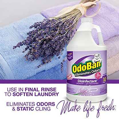 OdoBan Ready-to-Use Disinfectant and Harsh Aroma Eliminator, Set of 2, 14.6 Ounce 360-Degree Continuous Spray Fabric/Air Freshener and 1 Gallon Multi-Purpose Cleaning Concentrate, Lavender Scent - size: 71.3 Fl Oz (Pack of 2)