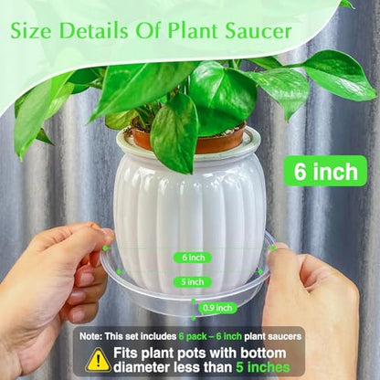 FUIJOL 6 Pack Clear Plant Saucer, Durable Plant Drip Trays Saucers for Pots, No Holes Water Catcher Trays for Indoor Outdoor Planter, Sturdy Base Plate(6", Clear) - size: 6"-6Pack