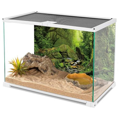 Forest Green Tree Terrarium Backdrop Reptile Habitat Background 30x18 in | AWERT Tropical Foggy Rainforest Stream Aquarium Durable Polyester Background - size: 30 x 18 inches
