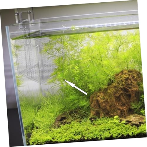 BESPORTBLE 1set Acrylic Fish Isolation Box for Aquariums with Cups and Breeding Box for Newborn Fish Transparent Cover Prevents Escape and Design
