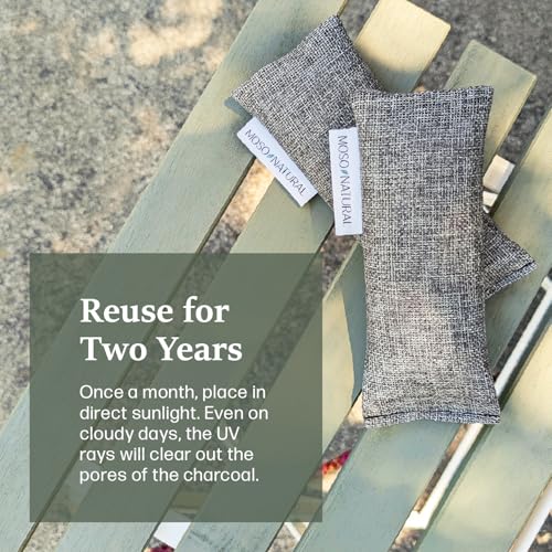 Moso Natural Shoe Deodorizer Inserts, Charcoal Odor Absorber for Shoes, Gym Bag & Boot Deodorizer, Unscented Shoe Odor Elimination, Air Purifying Bags, Lasts 2 Years (2 Bags) - style: 1 Pack (2 Total) Charcoal