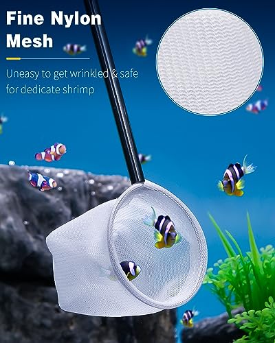 Pawfly Aquarium Shrimp Net, 2 Inch Tiny Fish Tank Net with Extendable Stainless Steel Handle, Soft Round Fine Mesh for Shrimp Baby Fish Food Residue Debris Skimming - color: Black Round, size: 2 Inch