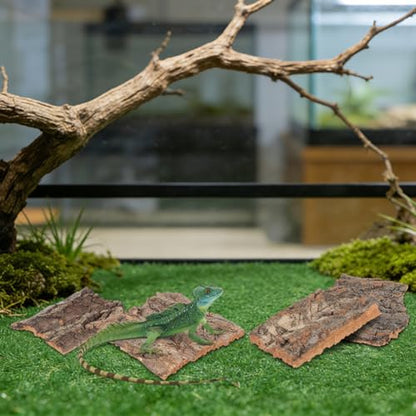 TOYANDONA Reptile Bark Hide 4 Pcs Tree Bark Pieces for Climbing Platform Terrarium Decor for Snake Lizard Gecko Tortoise Habitat Accessories 5.11 X 1.49 X 0.39 in