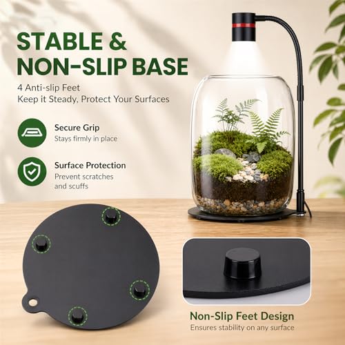 Glass Plant Terrarium with LED Grow Light, Grow Light for Terrarium, Small Desktop Indoor Planter for Venus Fly Trap, Moss & Succulents, Borosilicate Decor Jar for Plant Lovers