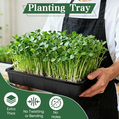 Sckee Upgraded 10 Pack Plant Growing Trays Seed Starting Tray Microgreens Growing Trays Seedling Plant Germination Starter Tray Transplant Fodder Flats, No Holes, No Leakage, Reusable (1015) - size: 1015