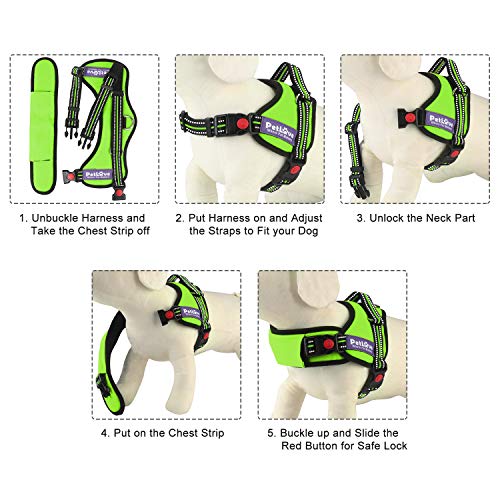 PetLove Dog Harness, Adjustable Soft Leash Padded No Pull Dog Harness for Small Medium Large Dogs, Green - color: Green, size: XXS