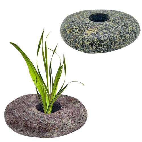 2PCS Natural River Stone Plant Weights for Aquarium，Pebble Aquatic Plants Fixed Ring for Aquatic Plants，Unique Shape & Size Decorative River Rock for Landscape Plant(0.8" Holes) - size: 2, style: 1 hole