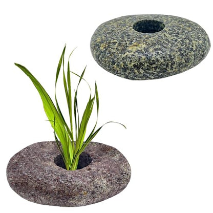 2PCS Natural River Stone Plant Weights for Aquarium，Pebble Aquatic Plants Fixed Ring for Aquatic Plants，Unique Shape & Size Decorative River Rock for Landscape Plant(0.8" Holes) - size: 2, style: 1 hole