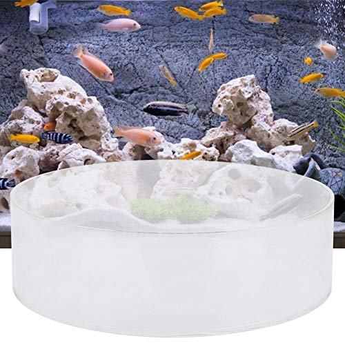 TOPINCN Viewer Fish Acrylic Observe Lense Aquarium Fish Photograph Cylinder Magnifier for Marine Aquarium Reef(250mm) - size: 250mm