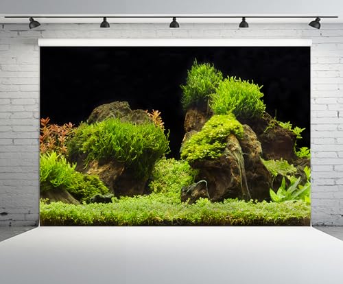 20x10ft Fish Tank Backdrop Aquarium Underwater Grass Leaves Aquatic Plant River Stone Bed Lake Background Diving Holiday Fishing Party Decoration Photo Props Wallpaper - size: 20x10FT