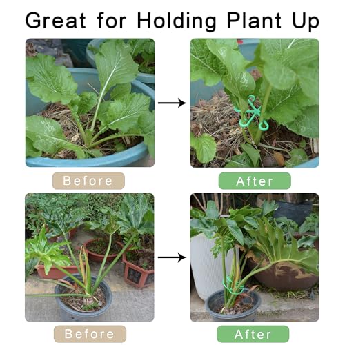 Plant Stem Supports for Indoor Plants, Reusable Monstera Plant Support, Plant Propagation Buddy, Sturdy Houseplant Accessories, Stable Leaf Buddy Plant Support Stakes, 6PCS Green
