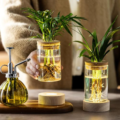 Glass Plant Propagation Stations, Propagation Vases for Plants with Ambient Light Base, Hydroponic Vase for Home & Office Windowsill Tabletop Decoration Desktop Vases for Living Room, Bedroom (2)