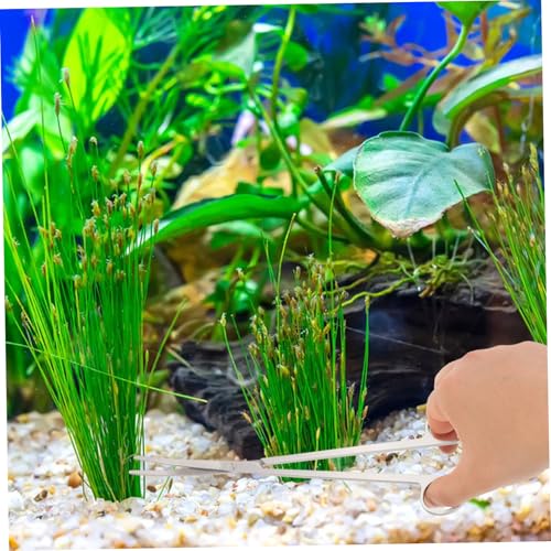 LIOOBO 1set Aquascaping Tools Set Scissors Tweezers Spatula for Aquarium Maintenance