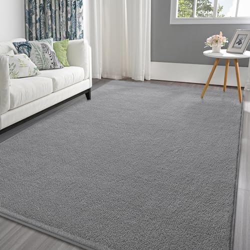 Pettop 5x7 ft Grey Area Rugs for Bedroom Living Room, Washable Memory Foam Indoor Carpet, Modern Aesthetic Minimalist Non Slip Soft Comfy Carpet for Boys Girls Dorm Home Decor - color: Grey, size: 5' X 7' (Rectangular)