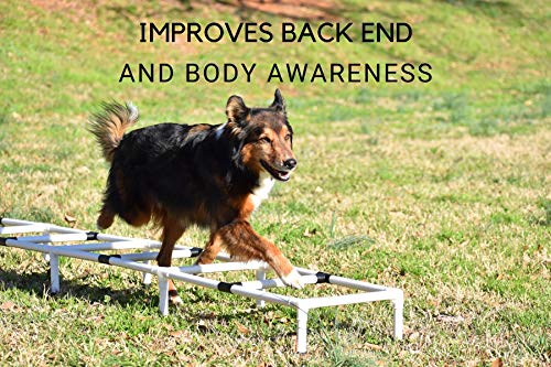Better Sporting Dogs Agility Training Ladder | Dog Agility Training Equipment | Dog Training Equipment