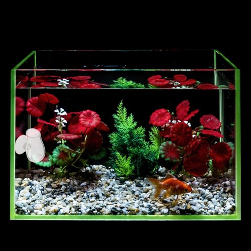 Garneck Glass Aquarium Fish Feeder Cup Worm Bait Container Fish Tank Feeding Cup for Aquarium Use