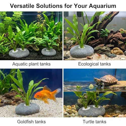 5-Pack Natural River Stone Aquarium Plant Weights, 0.79 Inch Hole | 3 Single-Hole and 2 Double-Hole Anchors, No-Tie Stem Insertion, Reusable, for Bare-Bottom and Planted Tanks