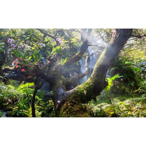 Tropical Jungle Aquarium Background Majestic Misty Rainforest Scenery Fish Tank Background Scenic Mountain Cascading Waterfall Terrarium Backgrounds Tranquil Stream Reptile Tank Backgrounds 24x12in - color: Warm Green, size: 24(W)x12(H)in