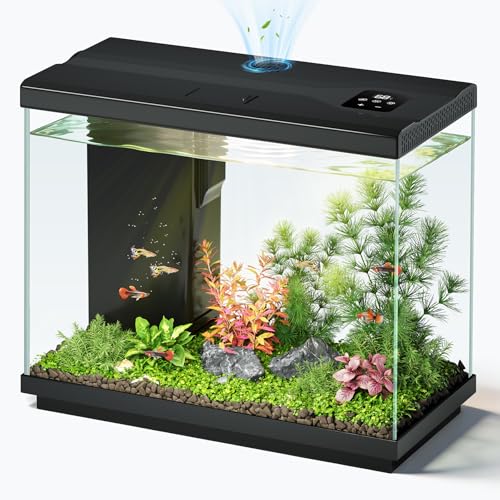 2.2 Gallon Small Fish Tank, Betta Fish Aquariums Black | with 4-in-1 Filter Pump, LED Light, Temperature Display, Fan & Surface Intake Design, for Home Office, Beginner Friendly