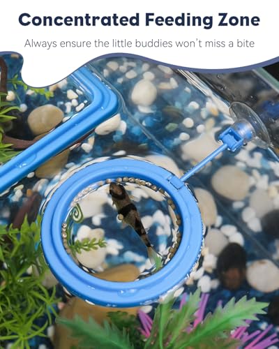 Pawfly Fish Feeding Ring for Fish Tank Aquarium Feeding Ring with Suction Cup Square Floating Food Feeder Small Feeder Circle for Betta Goldfish Guppy & Turtle