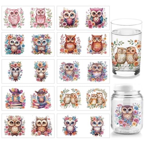 Arricraft 10 Sheets Owl UV DTF Cup Wrap for 16OZ Glass, Flowers Books Birds Rub on Decals Animal Theme PVC Transfer Stickers for DIY Cups Bottle Wood Furniture Garden Decor - style: Cute Owl