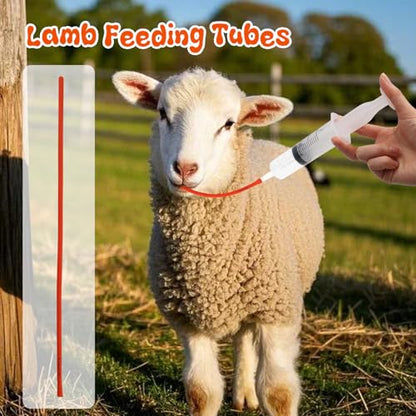 10 Pieces Lamb Feeding Tubes, Red Flexible Rubber Replacement Tubing Supplies for Lamb,Sheep,Piglet,Rabbit,Puppy Feeding (16 Inch x 16FR) (10 Pack, 18 FR) - color: 10 Pack, size: 18 FR